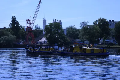 DSC_1741 (Large).JPG